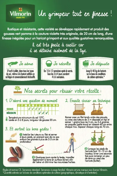Légumes Secs - Haricot Grimpant Vert Montebello - 20 m - MEDIA_PACKAGING_VERSO