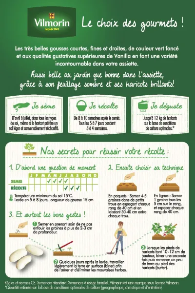 Légumes Secs - Haricot Nain Vert Vanilla - 20 m - MEDIA_PACKAGING_VERSO