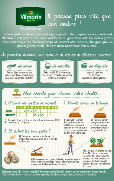 Légumes Secs - Pois Nain à Grain Ridé Kelvil - 20 m - MEDIA_PACKAGING_VERSO
