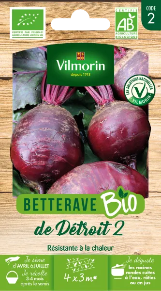 Potagères - Betterave Potagère Detroit 2 - BIO - PACKAGING_RECTO