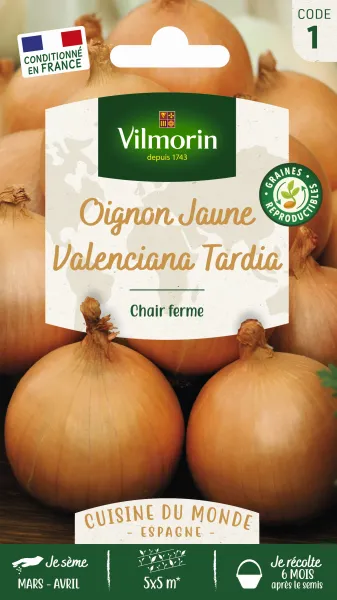 Potagères - Oignon jaune Valenciana Tardia - face recto