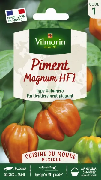 Potagères - Piment Magnum HF1 - Cuisine du Monde - face recto