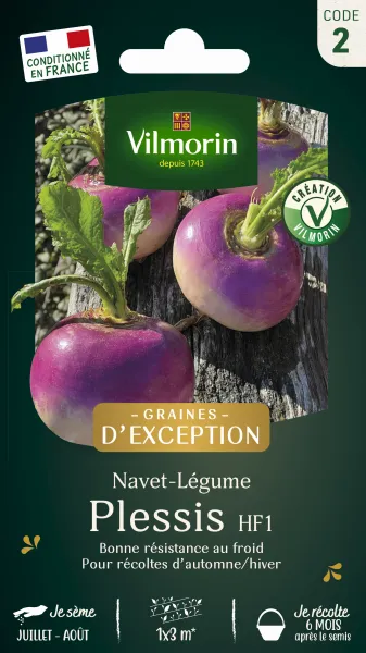 Potagères - Navet-légume Plessis F1 - Graines d'Exception - face recto