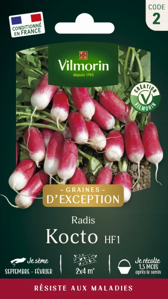 Potagères - Radis Kocto HF1 - Graines d'Exception - PACKAGING_RECTO