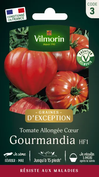Potagères - Tomate Gourmandia HF1 - Graines d'Exception - face recto