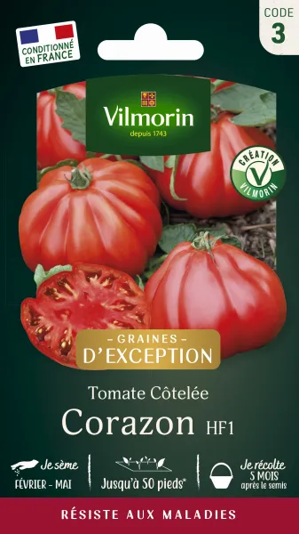 Potagères - Tomate Corazon HF1 - Graines d'Exception - PACKAGING_RECTO