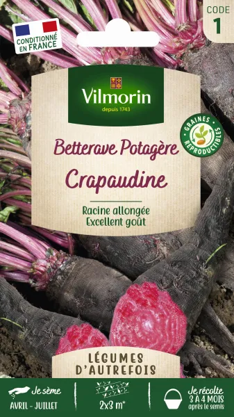 Potagères - Betterave Potagère Crapaudine - Légumes d'Autrefois - face recto