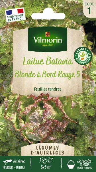 Potagères - Laitue Batavia Blonde à Bord Rouge 5 - Légumes d'Autrefois - PACKAGING_RECTO