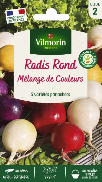 Potagères - Radis ronds - Mélange de couleurs - PACKAGING_RECTO