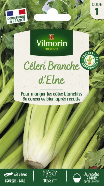 Potagères - Céleri Branche d'Elne - PACKAGING_RECTO