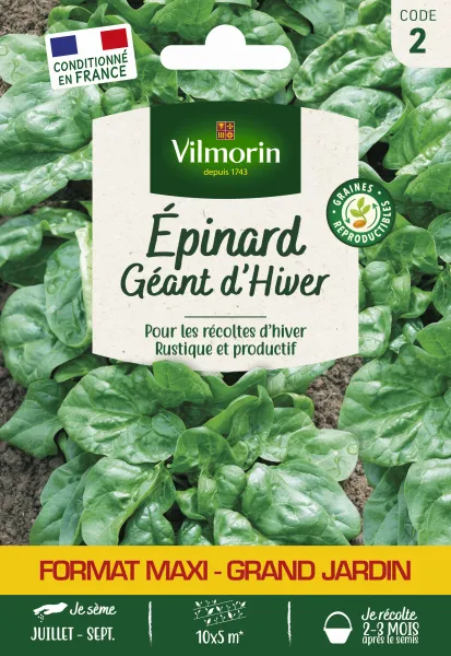 Potagères - Epinard Géant d'Hiver - Grand Modèle - face recto