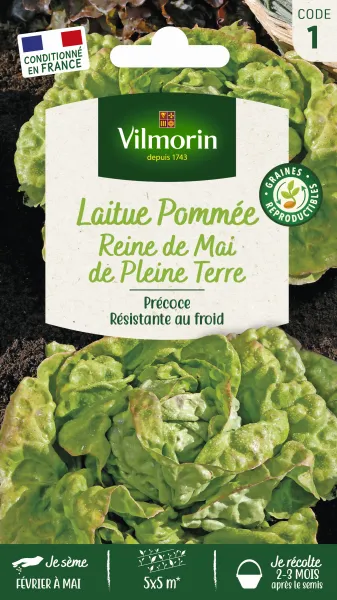 Potagères - Laitue Pommée Reine de Mai de Pleine Terre - PACKAGING_RECTO