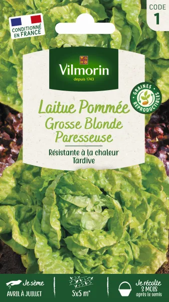 Potagères - Laitue Pommée Grosse Blonde Paresseuse - PACKAGING_RECTO