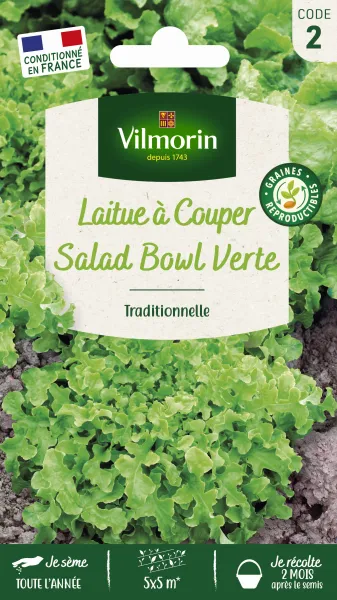 Potagères - Laitue à couper Salad Bowl verte - PACKAGING_RECTO