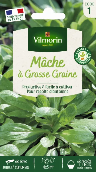 Potagères - Mâche à Grosse Graine - PACKAGING_RECTO