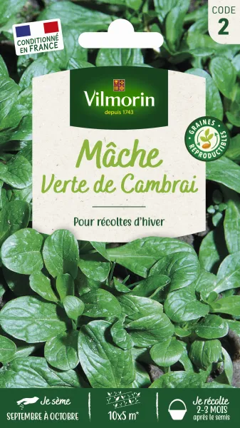 Potagères - Mâche Verte de Cambrai - PACKAGING_RECTO