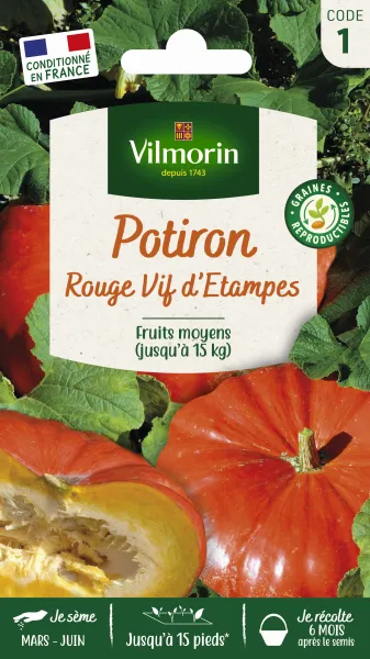 Potagères - Potiron Rouge Vif d'Etampes - face recto