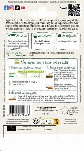 Potagères - Poivron Padrón - Cuisine du Monde - MEDIA_PACKAGING_VERSO