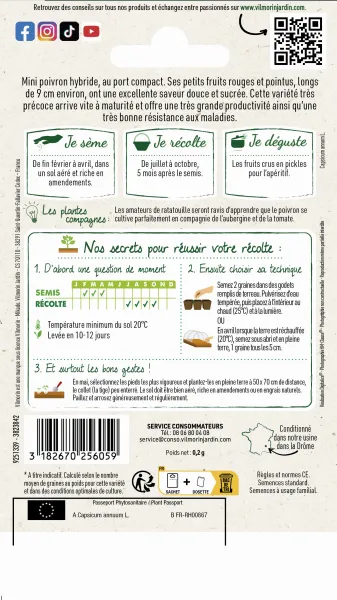 Potagères - Poivron Balconi HF1 - Graines d'Exception - MEDIA_PACKAGING_VERSO