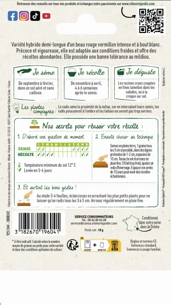 Potagères - Radis Kocto HF1 - Graines d'Exception - MEDIA_PACKAGING_VERSO