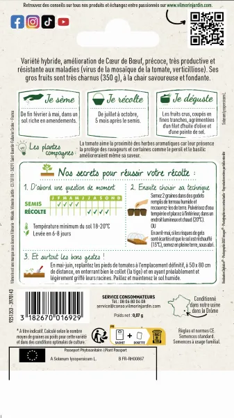 Potagères - Tomate Gourmandia HF1 - Graines d'Exception - MEDIA_PACKAGING_VERSO