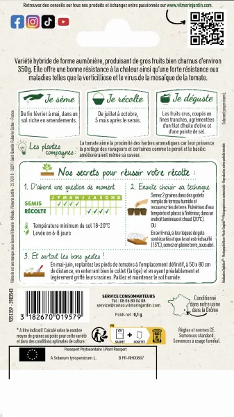 Potagères - Tomate Lanterna F1 - Graines d'Exception - MEDIA_PACKAGING_VERSO