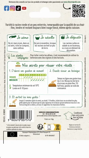 Potagères - Betterave de Détroit 2 race Darko - MEDIA_PACKAGING_VERSO