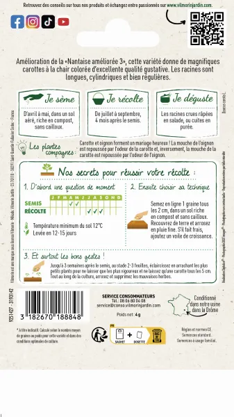 Potagères - Carotte Nantaise Améliorée 3 race Tam Tam - MEDIA_PACKAGING_VERSO