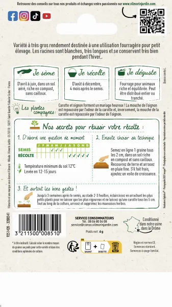 Potagères - Carotte Fourragère Blanche à Collet Vert Hors Terre - MEDIA_PACKAGING_VERSO
