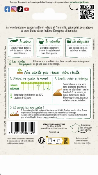 Potagères - Chicorée Frisée de Ruffec - MEDIA_PACKAGING_VERSO