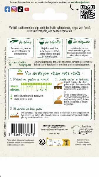 Potagères - Courgette Verte Non Coureuse d'Italie - MEDIA_PACKAGING_VERSO
