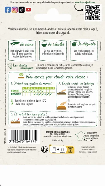 Potagères - Laitue Batavia Dorée de Printemps - MEDIA_PACKAGING_VERSO