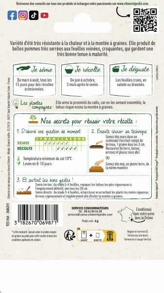 Potagères - Laitue Batavia Great Lakes 119 - MEDIA_PACKAGING_VERSO