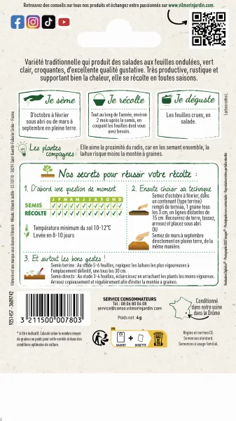 Potagères - Laitue à couper Salad Bowl verte - MEDIA_PACKAGING_VERSO