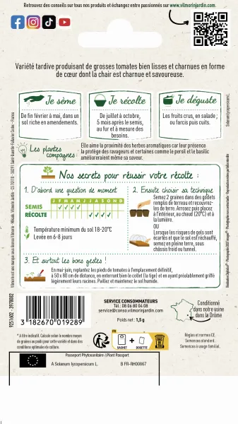 Potagères - Tomate Cuor Di Bue (Cœur de Bœuf) - MEDIA_PACKAGING_VERSO