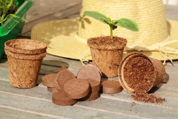 Accessoires pour semer - Kit de Plantation - 12 godets et 12 pastilles - MEDIA_EN_SITUATION_2