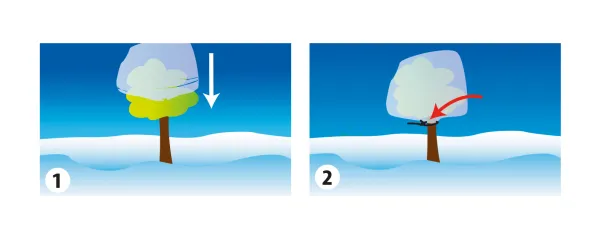 Croissance et protection des végétaux - Housse d'hivernage - 3,6 m x 2,5 m - Blanc - MEDIA_EN_SITUATION_1