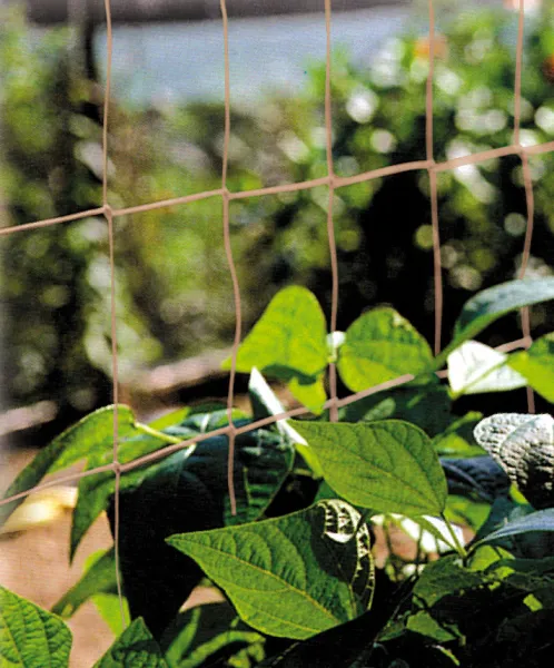 Croissance et protection des végétaux - Filet à Ramer - Jute - 2 m x 5 m - MEDIA_EN_SITUATION_1
