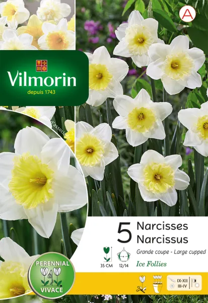 Bulbes à fleurs à planter à l'automne - Narcisse Ice Follies (x5) - PACKAGING_RECTO