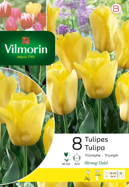 Bulbes à fleurs à planter à l'automne - Tulipe Strong Gold (x8) - PACKAGING_RECTO