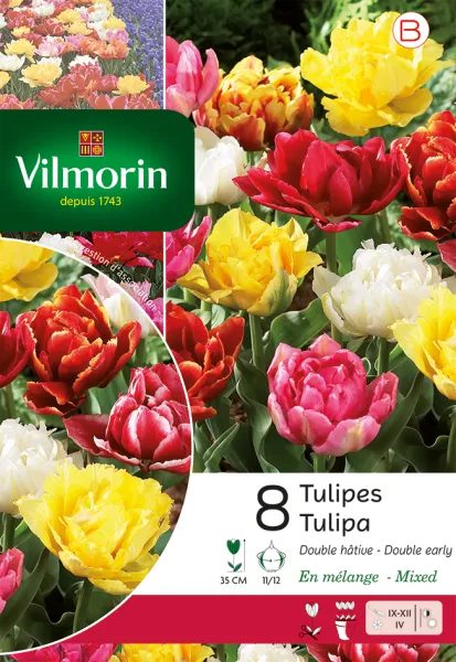 Bulbes à fleurs à planter à l'automne - Tulipe Double Hâtive en Mélange (x8) - PACKAGING_RECTO