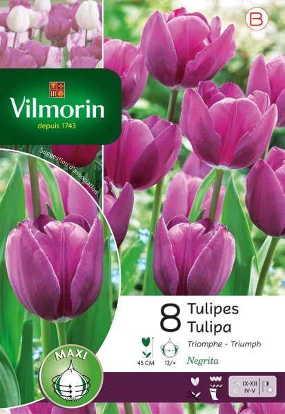 Bulbes à fleurs à planter à l'automne - Tulipe Negrita (x8) - PACKAGING_RECTO