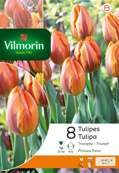 Bulbes à fleurs à planter à l'automne - Tulipe Prinsesse Irene (x8) - PACKAGING_RECTO