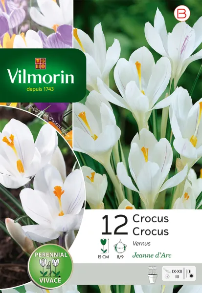 Bulbes à fleurs à planter à l'automne - Crocus Jeanne D'Arc (x12) - PACKAGING_RECTO