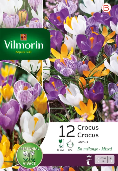 Bulbes à fleurs à planter à l'automne - Crocus Grande Fleur En Mélange (x12) - PACKAGING_RECTO