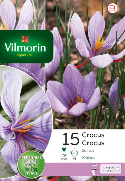 Bulbes à fleurs à planter à l'automne - Crocus Sativus (x15) - PACKAGING_RECTO