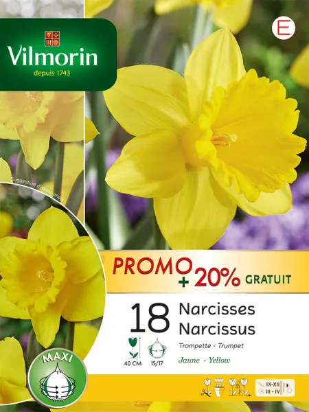Bulbes à fleurs à planter à l'automne - Narcisse Trompette Jaune (x18) - PACKAGING_RECTO