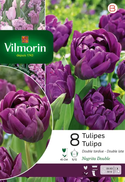 Bulbes à fleurs à planter à l'automne - Tulipe Negrita Double (x8) - PACKAGING_RECTO