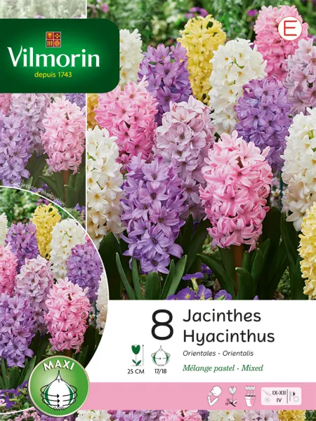 Bulbes à fleurs à planter à l'automne - Jacinthe Pastel en Mélange (x8) - PACKAGING_RECTO