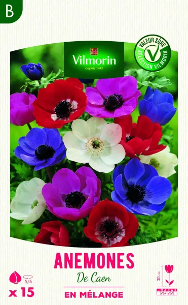 Bulbes à fleurs à planter au printemps - Anémone Coronaria De Caen en Mélange (x15) - PACKAGING_RECTO